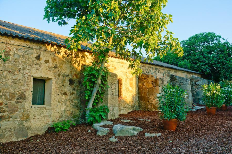 Casa Rural Castillo De Caces מראה חיצוני תמונה