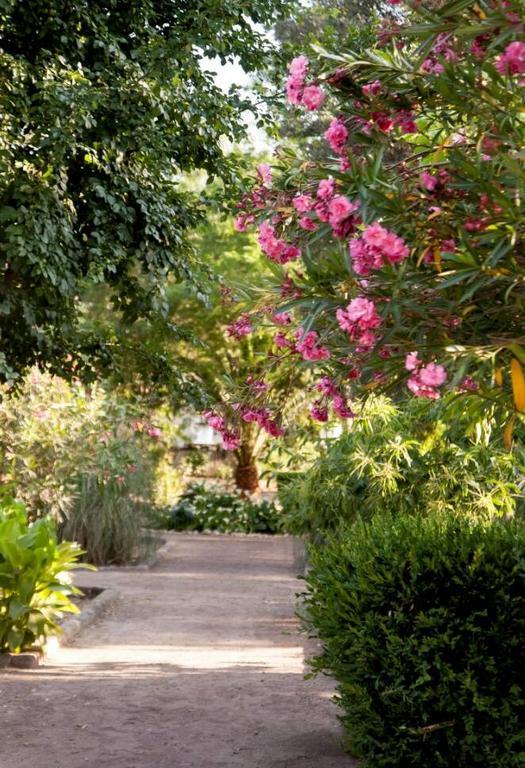 Casa Rural Castillo De Caces מראה חיצוני תמונה