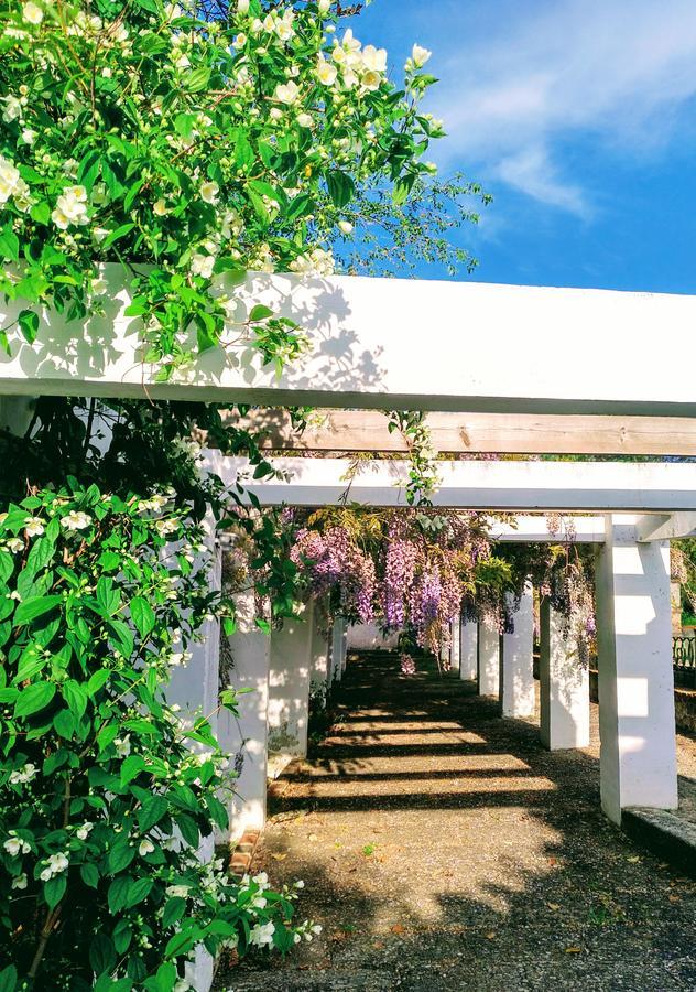 Casa Rural Castillo De Caces מראה חיצוני תמונה